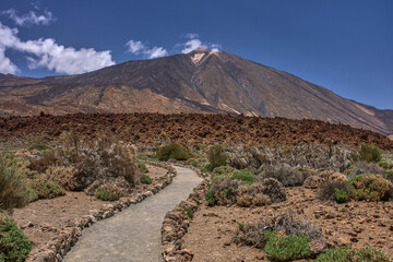 Path toward Teide volcano