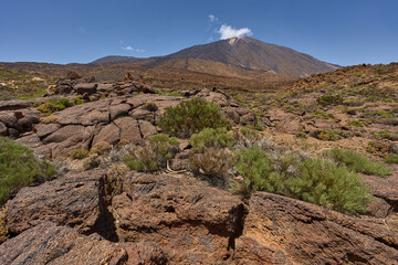 Cracked lava field and Teide