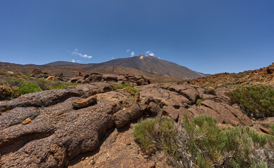 Cracked lava field and Teide