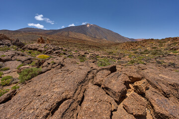 Cracked lava field and Teide