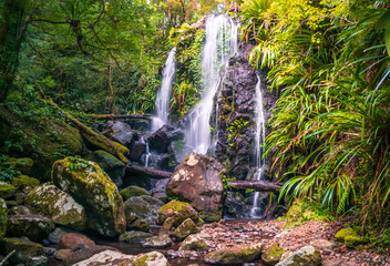 Waterfall in the Rainforest