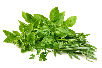 Basil, Rosemary, Parsley Herbs, isolated on white background