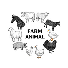 Farm Animal Illustration Black and White Sketch Style for Agriculture and Education