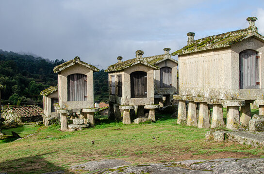 The unique architecture of Galician and portuguese espigueiros h&oacute;rreos Stone buildings on pillars in a green field, smart ancient design.