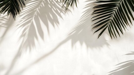 A serene and minimalist image featuring gentle shadows of palm leaves cast against a soft white background, creating a tranquil atmosphere perfect for relaxation or tropical themes