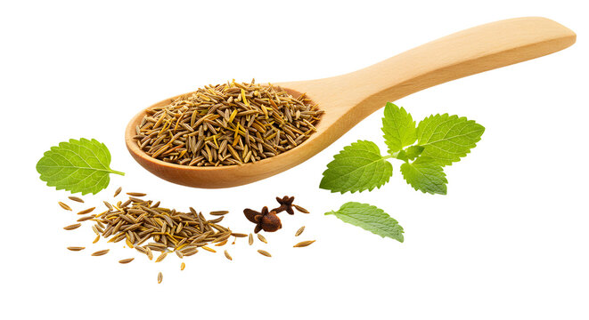 Wooden spoon with cumin seeds and fresh green mint leaves isolated on white background, perfect for cooking and culinary use
