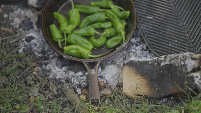 A pan of green peppers is cooking on a fire. The peppers are in a skillet and are being cooked over a fire