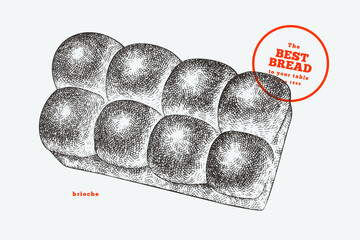 Hand Drawn Vector Brioche Illustration. Not AI Generated. Retro Bakery Isolated Image. Old School Bread Food