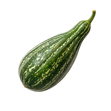 Pointed gourd or potol