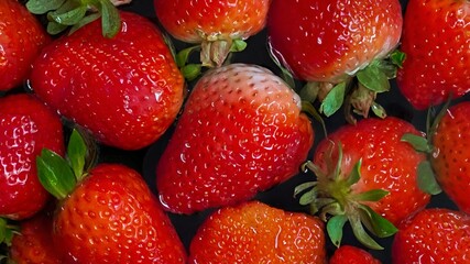 Close-up image showcases a selection of fresh, ripe strawberries tasty with vibrant red hues, captured in natural lighting to emphasize their organic quality