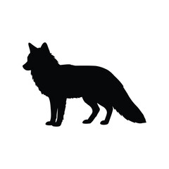 Black silhouette of a standing fox with a bushy tail isolated on white background
