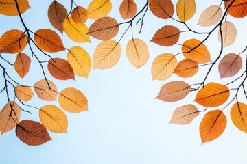 Colorful autumn tree branches silhouetted against blue sky