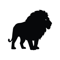 Silhouette of a majestic male lion with a full mane standing proudly isolated on white background