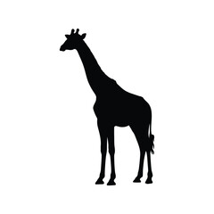 Silhouette of a standing giraffe facing left isolated on white background
