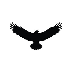 Silhouette of a soaring eagle with outstretched wings isolated on white background