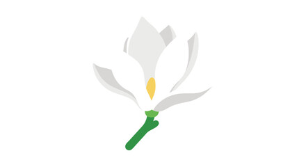 Graceful magnolia bloom, minimalist botanical vector illustration for springtime design projects