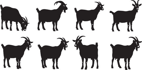 Farm Goat Silhouette Vector Set on White Background