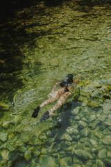 A swimmer in snorkeling gear floats above crystal-clear river water, revealing green stones and serene natural beauty.