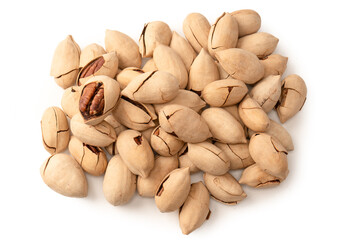 Pecan-nut in a shell isolated on white background. Top view.