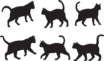 Cat silhouette, Cat vector image