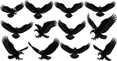 Eagle flying silhouette vector set, predatory bird clipart, black and white eagle drawing, wings spread, wildlife illustration, hunting raptor art

