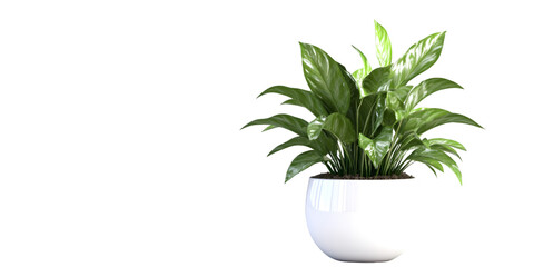 Modern Plant Pot Isolated on Transparent Background