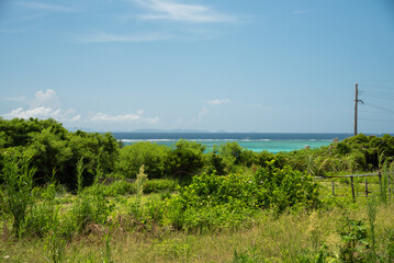 緑の奥にエメラルドグリーンの海が見える