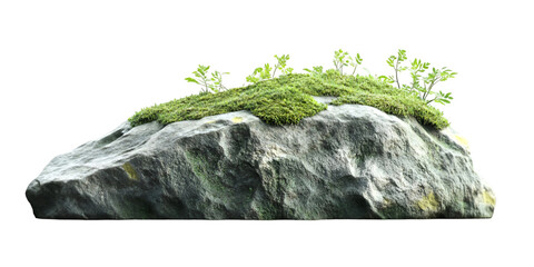 Mossy Stone with Plant Isolated on Transparent Background