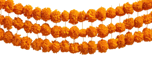 Crispy orange clusters arranged in a garland