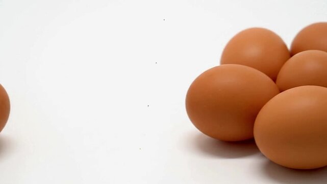 Four brown eggs are positioned on either side of a white backdrop