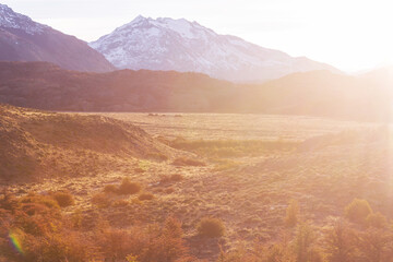Patagonia