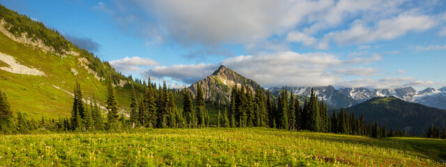 Summer mountains