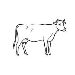Fototapeta premium Simple linear sketch of a cow in minimalist style, in black and white