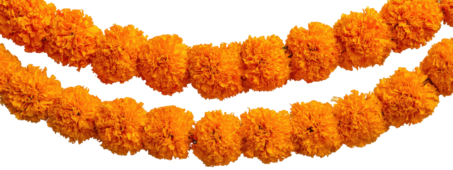 Orange flower garland,  a festive arrangement