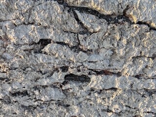 Porous and Weathered Texture of an Ancient Stone