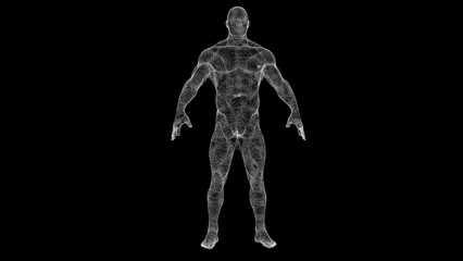 Abstract Mesh Human Form Against Black Background Representing Futuristic Digital Concepts
