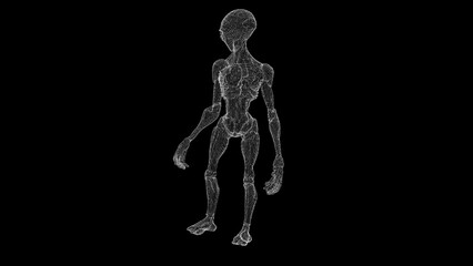 Intricate Wireframe Humanoid Figure on Black Background Displaying Complexity
