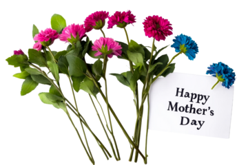 Colorful flowers with a card wishing Happy Mothers Day