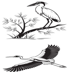 Boat-Bill Heron silhouette vector style with white background .