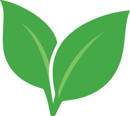 Pair of Lush Green Leaves Symbolizing Growth and Nature's Vitality Freshness and Environmental Consciousness Beautiful Simple and Clean