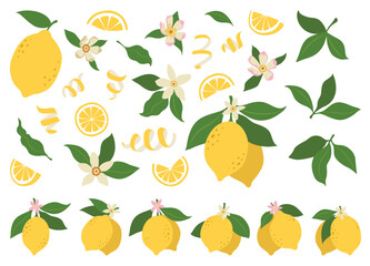 Obraz premium Lemons illustration, citrus fruits, green leaves, white flowers. Clipart set, yellow green colors. Baby shower design elements. Party invitation, birthday celebration. Spring or summer decoration set