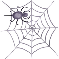 Spider Halloween