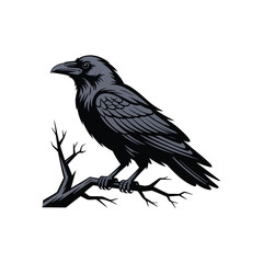 Obraz premium Vector illustration of Majestic Raven: A Striking Bird Illustration