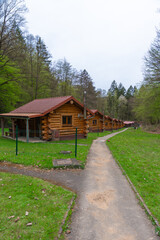 A line of rustic wooden cabins with red tile roofs stretches into the forest. Each house has a small fenced yard and chimney. A winding path leads through the green spring landscape. Peaceful retreat.
