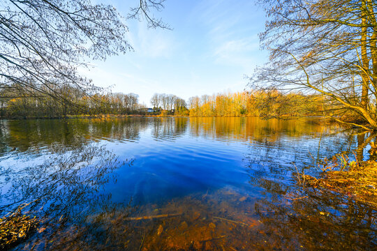 View of the forest lake near Saerbeck and the surrounding landscape. Nature in winter near the Saerbeck bathing lake.
