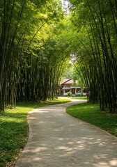 Fototapeta premium 緑の竹林を抜け美しい庭園へ続く道