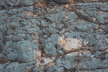 Unique rock formations revealing natural textures and colors in a rugged landscape during daylight hours, showcasing geological features and plant life