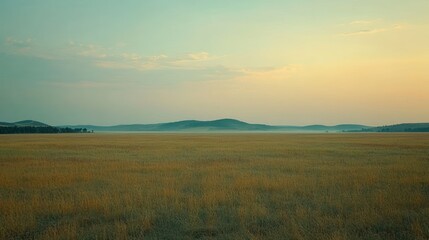 Tranquil golden field at dawn