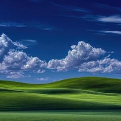 Obraz premium Rolling Green Hills Under a Blue Sky