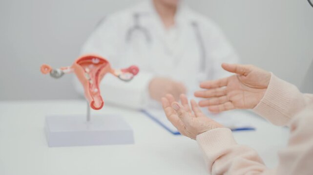 Elderly Woman patient consulting doctor with anatomy Uterus and Ovaries. Ovarian and Cervical cancer, Cervix disorder, Endometriosis, Hysterectomy, Uterine fibroids, Reproductive system and Pregnancy 